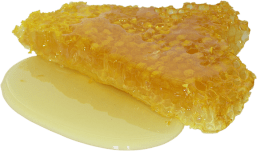 honey2