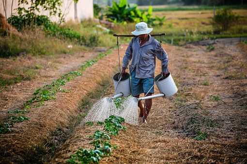 the-man-watering can
