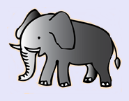 elephant3