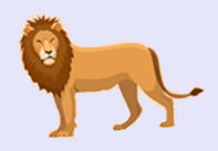 lion-