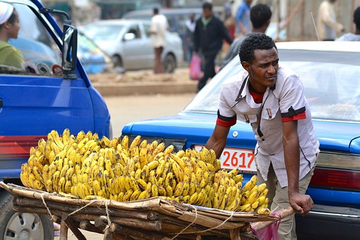 seller banana