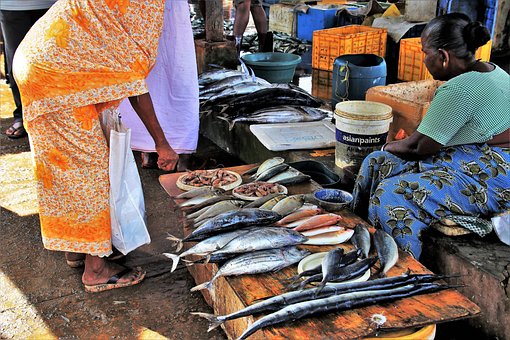 fish-market1