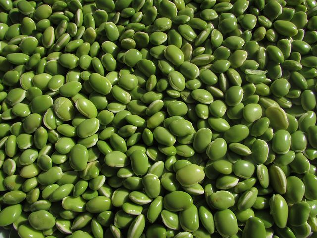 kunde beans-