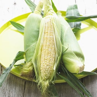corn-