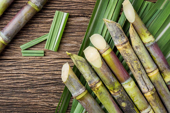 sugarcane-