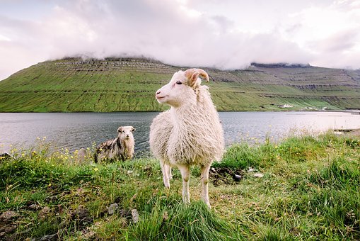 faroe-islands-