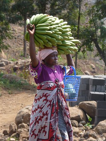 afrikanerin-381939__480