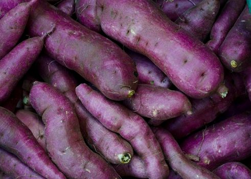 potatoes-6528754__480