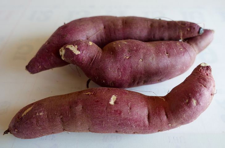 sweet-potato-1248078__480