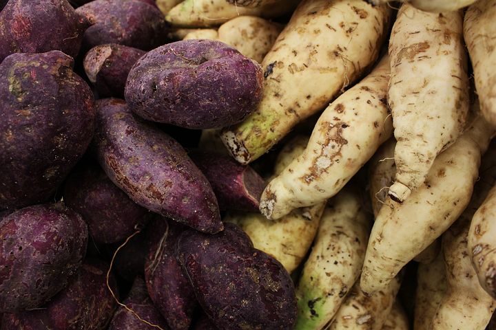 sweet-potato-5318960__480