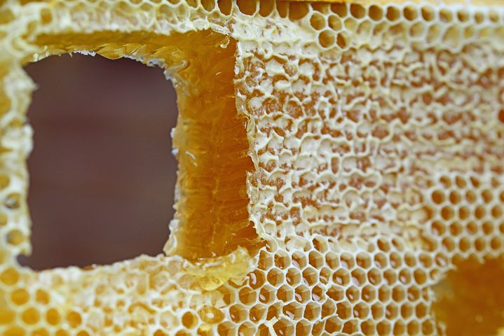 honeycomb-347558__480