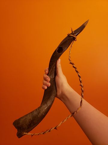 shofar-5170508__480